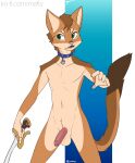  collar domestic_cat felid feline felis firestar_(warriors) genitals half-erect hi_res ko-fi mafty_(artist) male mammal melee_weapon penis simple_background solo sword warriors_(cats) weapon 