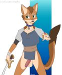  anthro anthrofied bottomless clothed clothing collar domestic_cat felid feline felis firestar_(warriors) genitals half-erect hi_res ko-fi mafty_(artist) male mammal melee_weapon partially_clothed penis solo sword warriors_(cats) weapon 