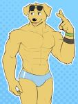  abs anthro biceps bird_dog bojack_horseman bulge canid canine canis clothed clothing domestic_dog eyewear fur golden_retriever hi_res humanoid hunting_dog jrjresq labrador looking_at_viewer male mammal mr._peanutbutter muscular muscular_anthro muscular_male netflix retriever simple_background solo speedo sunglasses swimwear yellow_body yellow_fur 