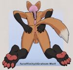  absurd_res anthro anus balls black_body black_fur black_nails braided_hair butt canid canine colored_nails feet foot_focus fur genitals graham_(artist) graham_(character) hair hi_res kneeling male mammal mane maned_wolf nails orange_body orange_fur pawpads pink_anus pink_hair plantigrade red_pawpads signature simple_background solo spread_butt spreading text url white_body white_fur white_tail_tip 