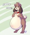  2021 absurd_res animal_crossing anthro belly belly_overhang big_belly canid canine canis collar digby_(animal_crossing) digital_drawing_(artwork) digital_media_(artwork) domestic_dog english_text full_belly fur hi_res hyper hyper_pregnancy male mammal maynara nintendo nude pregnant pregnant_male proud simple_background solo speech_bubble text video_games 