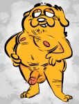  adventure_time balls canid canine canis cartoon_network domestic_dog genitals jake_the_dog male mammal nipples nude orange_body penis smile solo standing the-alfie-incorporated 