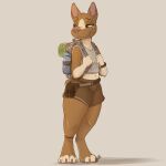  2022 absurd_res anthro barefoor bottomwear brown_body brown_fur canid canine canis clothed clothing digital_media_(artwork) domestic_dog female fully_clothed fur hi_res light lighting louart mammal midriff shaded shorts signature solo standing 