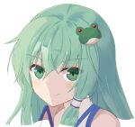  1girl bangs closed_mouth collared_shirt eyebrows_visible_through_hair frog_hair_ornament green_eyes green_hair hair_between_eyes hair_ornament hair_tubes kochiya_sanae long_hair looking_at_viewer shirt simple_background smile solo sugiyama_ichirou touhou upper_body white_background 