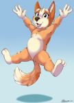  2020 anthro bingo_heeler bluey_(series) canid canine canis domestic_dog fangs female fur hi_res jumping looking_at_viewer mammal marcushunter nude open_mouth orange_body orange_fur raised_arms smile solo spread_arms spread_legs spreading tongue 