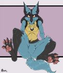  2021 anthro blue_body blue_fur blush blush_lines chest_tuft fangs feet foot_fetish fur hi_res looking_at_viewer lucario male marcushunter nintendo nude paws pok&eacute;mon pok&eacute;mon_(species) sitting solo spread_legs spreading tail_between_legs tongue tongue_out tuft video_games 