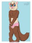  anthro balls_outline biped blue_background blue_eyes blush border boxer_briefs brown_body brown_fur bulge chest_tuft claws clothed clothing covering covering_self cute_fangs detailed_bulge domestic_ferret fur gaokun genital_outline hi_res inner_ear_fluff legs_together male mammal multicolored_body multicolored_fur mustela mustelid musteline nervous partially_clothed pawpads pink_clothing pink_inner_ear pink_nose pink_pawpads pink_underwear simple_background solo toe_claws true_musteline tuft two_tone_body two_tone_fur underwear whiskers white_body white_border white_ears white_fur 