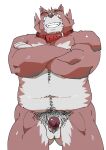  2019 anthro balls belly canid canine canis collar domestic_dog erection genitals hi_res humanoid_genitalia humanoid_hands humanoid_penis kemono male mammal navel overweight overweight_male penis pubes simple_background solo ujishiyo white_background 