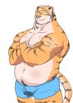  2018 absurd_res anthro belly blue_clothing blue_underwear bulge clothing felid hi_res humanoid_hands kemono male mammal navel overweight overweight_male pantherine pink_nose simple_background solo tiger ujishiyo underwear white_background 