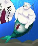  2022 anal anal_penetration anthro belly blush butt eyewear genitals glasses hi_res hisashiyo_0705 humanoid_hands japanese_text kemono leib_(tas) lifewonders male mammal moobs nipples overweight overweight_male penetration penis polar_bear text tokyo_afterschool_summoners underwater ursid ursine video_games water 