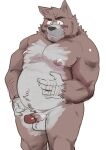  2021 anthro balls belly black_nose blush brown_body canid canine canis domestic_dog erection genitals hi_res humanoid_genitalia humanoid_hands humanoid_penis kemono male mammal moobs nipples overweight overweight_male penis simple_background solo ujishiyo white_background 