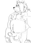  2021 anthro balls belly canid canine canis domestic_dog erection genitals hi_res humanoid_genitalia humanoid_hands humanoid_penis kemono male mammal moobs nipples overweight overweight_male penis simple_background sketch solo ujishiyo white_background 