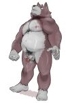  2021 anthro balls belly bodily_fluids canid canine canis domestic_dog genital_fluids genitals hi_res humanoid_genitalia humanoid_hands humanoid_penis kemono male mammal moobs nipples overweight overweight_male penis precum pubes solo ujishiyo 