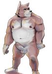  2021 anthro balls belly brown_body canid canine canis censored domestic_dog erection genitals hi_res humanoid_genitalia humanoid_hands humanoid_penis kemono male mammal moobs navel nipples overweight overweight_male penis simple_background solo ujishiyo white_background 
