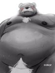  2020 anthro belly black_body blush dober facial_hair hi_res male mammal mature_male moobs mustache navel nipples overweight overweight_male pubes simple_background solo ursid white_background 