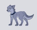  canid canine collar hi_res male mammal sketch snowstormbat solo 