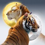  1:1 day duo felid feral gold_(metal) hedax hi_res mammal moon night pantherine portrait silver_(metal) striped_body stripes sun tiger 