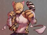  bottomwear cheeta clothing fighting_pose fist mendobear pants pose serious 