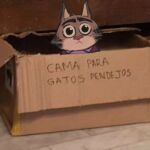  2022 anthro biped box clothing container domestic_cat felid feline felis illumination_entertainment jerry_(sing) mammal real shirt sing_(movie) solo sopa11uri spanish_text text topwear 