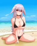  1girl absurdres animal_ears bangs barefoot beach bikini black_bikini black_choker blue_sky blush breasts choker cleavage closed_mouth eyebrows_visible_through_hair frown halterneck hand_on_own_arm hermit_crab highres horizon kabochima large_breasts long_hair looking_at_viewer navel ocean original red_eyes side-tie_bikini silver_hair sitting sky solo swimsuit symbol-only_commentary wariza water 