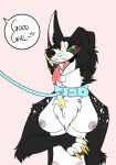  anthro breasts collar diesel_collie female female/female hi_res leash master pet solo 