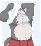  2022 anthro belly black_nose bulge canid canine clothing grey_body hi_res humanoid_hands kemono male mammal moobs overweight overweight_male simple_background solo tora_oekaki underwear 