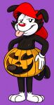  2021 animaniacs annie-mae anthro balls black_body black_fur clothing digital_media_(artwork) erection food fruit fur genitals gloves half-closed_eyes handwear hat headgear headwear hi_res humanoid_genitalia humanoid_penis inkblot jack-o&#039;-lantern looking_at_viewer male mammal mostly_nude narrowed_eyes nipples penis plant pumpkin simple_background solo tongue tongue_out wakko_warner warner_brothers 