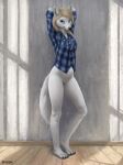  2022 anthro black_nose blonde_hair breasts canid canine clothed clothing detailed_background difetra digital_media_(artwork) feet female fur hair hi_res looking_at_viewer mammal smile solo toes white_body white_fur 