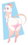  absurd_res andromorph anthro balls big_butt breasts butt genitals gynomorph hi_res intersex looking_at_viewer mammal murid murine pink_tail rat rodent round_ears solo sqoon 