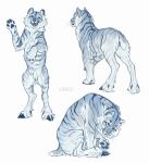  2022 4_toes ambiguous_gender blue_body blue_fur blue_stripes caraid digital_media_(artwork) feet felid feral fur hi_res mammal open_mouth pantherine paws smile solo striped_body striped_fur stripes teeth tiger toes tongue 