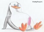  avian beak belly bird daddypassion dreamworks erection feet flippers genitals hi_res madagascar_(series) male nude penguin penis simple_background sitting skipper_(madagascar) smile solo the_penguins_of_madagascar wings 
