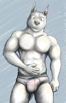  anthro bulge canid canine canis clothed clothing digital_media_(artwork) domestic_dog ear_piercing ear_ring erection erection_under_clothing fur genital_outline grin hand_on_stomach hi_res male mammal muscular penis_outline piercing pink_clothing pink_underwear simple_background sketch smile solo teasing toohbic tuubi underwear white_body white_fur 