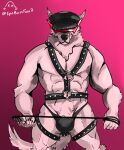  anthro bdsm_gear bulge canid canine canis chest_harness clothing epicbassface eyewear glasses harness hat headgear headwear hi_res male mammal muscular muscular_male solo straps tagme thong underwear whip wolf 