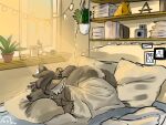  anthro bed bedroom book canid canine canis clothing danno detailed_background domestic_dog epicbassface furniture husky light light_beam male mammal morning nordic_sled_dog plant shelf shirt sleeping solo spitz sunbeam sunlight tagme topwear window 