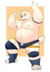  2022 absurd_res anthro belly blue_eyes bulge buruukoori canid canine canis clothing domestic_dog genitals hi_res humanoid_hands kemono male mammal moobs navel nipples overweight overweight_male penis scar solo underwear 