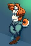  2018 4_toes absurd_res anthro barefoot big_muscles blue_eyes blue_nose blue_pawpads bottomwear canid canine chillykuma clothed clothing denim denim_clothing eyewear feet fox fur glasses hi_res jeans looking_at_viewer male mammal multicolored_body multicolored_fur muscular muscular_anthro muscular_male open_bottomwear open_clothing open_pants orange_body orange_fur pants pawpads plantigrade solo tight_clothing toes topless two_tone_body two_tone_fur white_body white_fur 