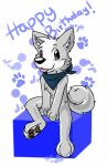  2015 anthro bandanna biped birthday black_nose black_pawpads blep brown_eyes canid canine canis curled_tail digitigrade domestic_dog eyebrows fur gaokun grey_body grey_ears grey_fur grey_inner_ear hair husky inner_ear_fluff kerchief looking_aside male mammal multicolored_body multicolored_fur nordic_sled_dog pawpads simple_background sitting solo spitz tongue tongue_out tuft two_tone_body two_tone_fur white_body white_fur white_hair 
