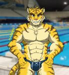  anthro big_muscles blue_eyes bulge clothing felid hazker looking_at_viewer male mammal morenatsu muscular nipples pantherine pubes smile solo speedo standing swimming_pool swimwear tiger torahiko_(morenatsu) video_games visual_novel 