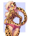  2022 5_fingers alexandra_(velocitycat) anthro areola black_spots blonde_hair breasts butt cheetah clothed clothing digital_media_(artwork) felid feline female fingers fur hair hi_res honnari_hannya inner_ear_fluff long_hair looking_at_viewer looking_back looking_back_at_viewer mammal nipple_piercing nipples open_mouth panties panties_only piercing purple_eyes simple_background solo spots spotted_body spotted_fur topless tuft underwear underwear_only 