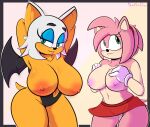  amy_rose anthro bat_wings bottomwear breasts chiropteran clothed clothing davidsanchan duo eulipotyphlan female gloves hands_behind_head handwear hedgehog hi_res looking_at_viewer looking_away mammal membrane_(anatomy) membranous_wings rouge_the_bat sega simple_background skirt smile sonic_the_hedgehog_(series) swimwear topless wings 