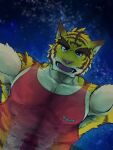  anthro big_muscles big_penis blue_eyes clothed clothing erection erection_under_clothing felid genitals hi_res humanoid_genitalia looking_at_viewer male mammal morenatsu muscular night nipples open_mouth pantherine penis shirt sky smile solo star tank_top tiger topwear torahiko_(morenatsu) translucent translucent_clothing vein veiny_penis video_games visual_novel zwoelf_wolfes 