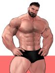  abs arm_hair bara beard body_hair chest_hair facial_hair hairy highres jang_ju_hyeon large_pectorals male_focus male_underwear mature_male muscular muscular_male navel_hair original pectorals tattoo topless_male underwear 