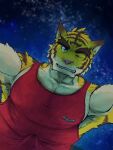  3:4 anthro big_muscles blue_eyes clothed clothing erection erection_under_clothing felid looking_at_viewer male mammal morenatsu muscular night pantherine shirt sky smile solo star tank_top tiger topwear torahiko_(morenatsu) video_games visual_novel zwoelf_wolfes 