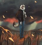  6everage animated anthro backpack blinking canid canine canis cloud dante_kinkade exploring field grass hi_res looking_at_viewer male mammal plant short_playtime solo storm tall_grass wind wolf 