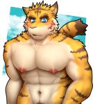  anthro better_version_at_source big_muscles blue_eyes blush cloud felid looking_down male mammal morenatsu muscular nazimi00 nipples pantherine pubes simple_background sky solo standing tiger torahiko_(morenatsu) video_games visual_novel white_background 