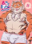  2022 anthro belly bulge clothing exclamation_point felid hi_res humanoid_hands japanese_text kemono male mammal moobs navel nipples orange_body overweight overweight_male pantherine pink_nose sippo solo text tiger underwear underwear_festival 