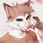  1:1 2022 anthro blep blue_eyes brown_body brown_fur cheek_tuft clothed clothing dipstick_ears eyewear facial_tuft fur glasses head_tuft heterochromia hi_res light lighting multicolored_ears pawpads pink_nose pink_pawpads shaded shirt solo spuydjeks tongue tongue_out topwear tuft 