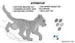  domestic_cat english_text felid feline felis feral fur grey_body grey_fur male mammal simple_background solo stonefur_(frostfur101) text thathornycat warriors_(cats) white_background 