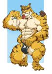  anthro big_bulge big_muscles blue_background bodily_fluids bue_eyes bulge clothing condom cum felid genital_fluids hi_res kounfuyu looking_at_viewer male mammal morenatsu muscular nipples pantherine pubes sexual_barrier_device simple_background smile solo speedo swimwear tiger torahiko_(morenatsu) video_games visual_novel white_background 