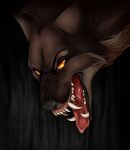 absurd_res angry anthro big_teeth bodily_fluids canid canine canis drooling feral growling hi_res invalid_tag male mammal morrigan_the_marwari open_mouth saliva snarling solo vore were werecanid werecanine werewolf wolf 